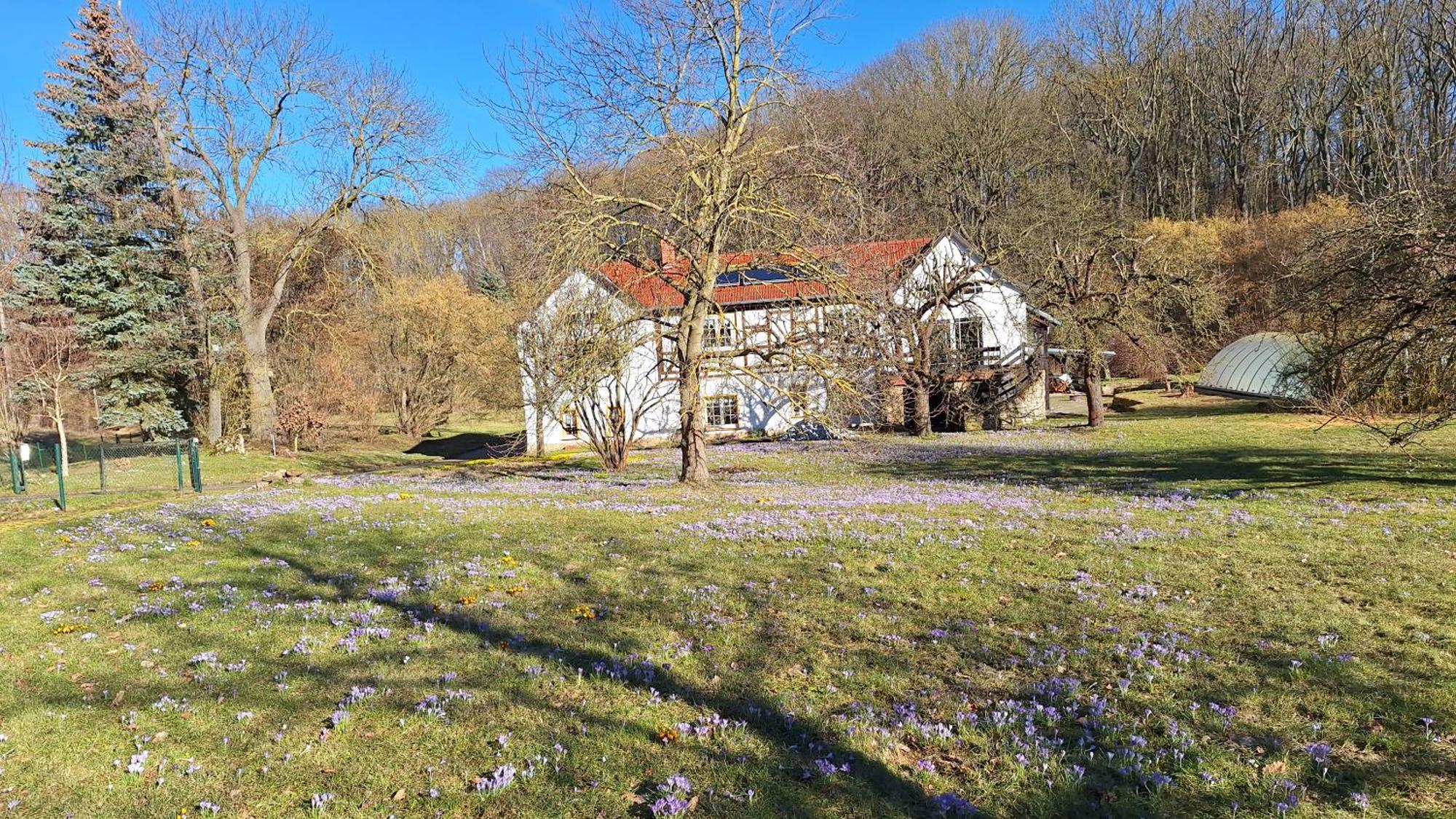 Ferienwohnung Obermuehle Ballstadt Ruang foto