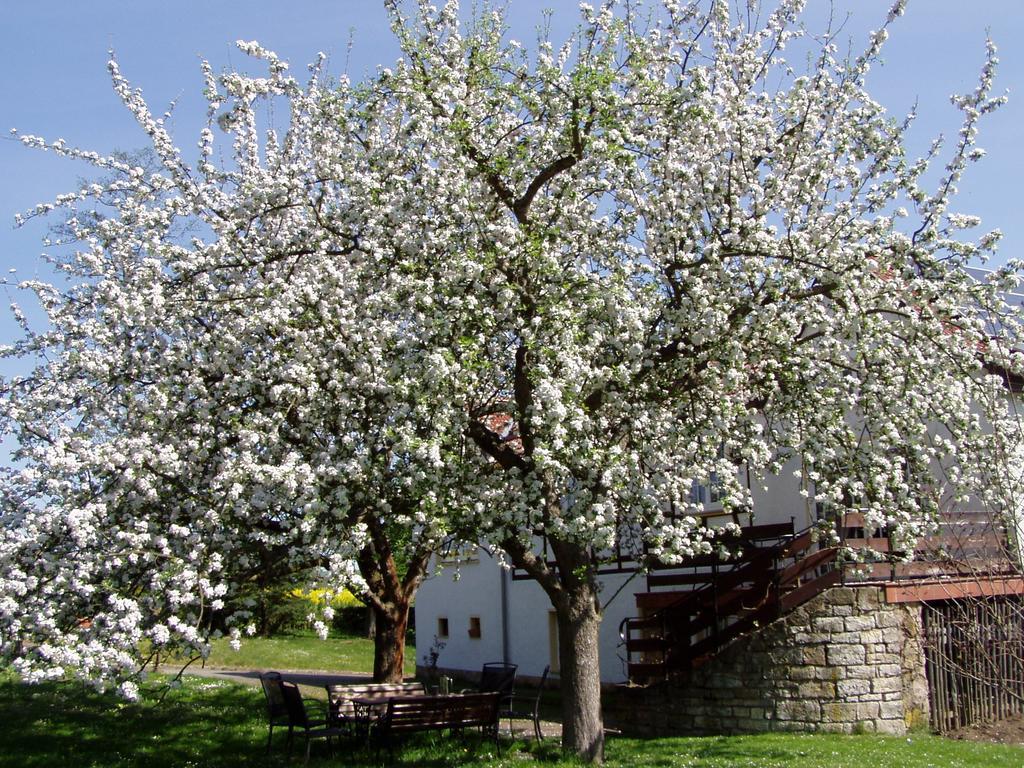 Ferienwohnung Obermuehle Ballstadt Ruang foto